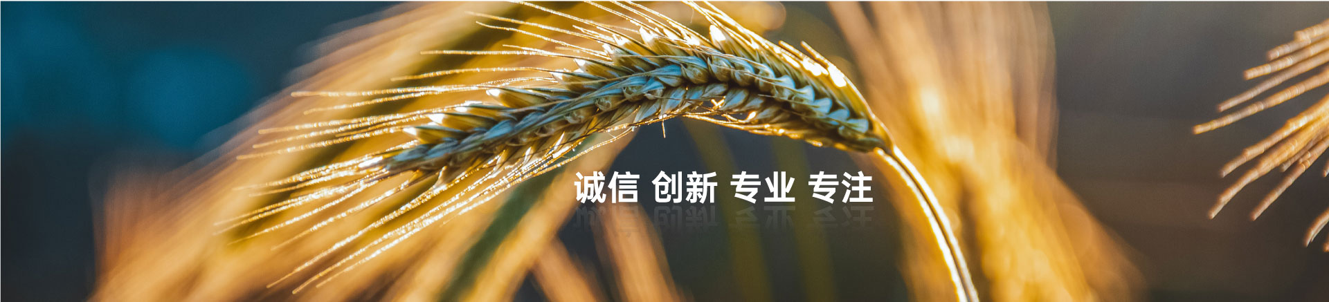 顧客至上，信譽第一